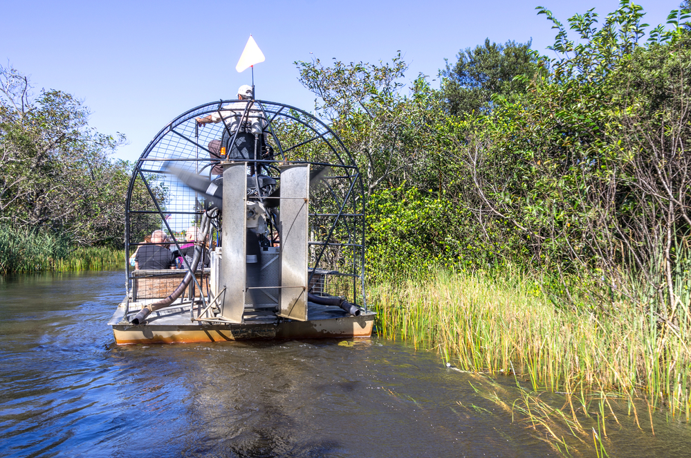 4 Reasons To Take Your Family On An Airboat Swamp Tour