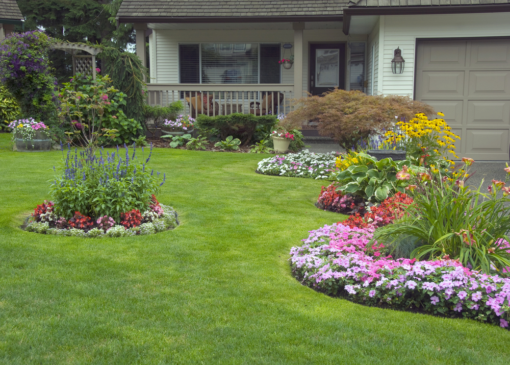 How To Prepare Your Yard for Summer Landscaping