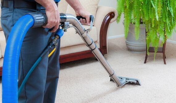 local carpet cleaner