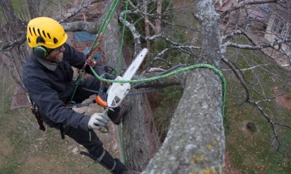 tree surgeon newcastle