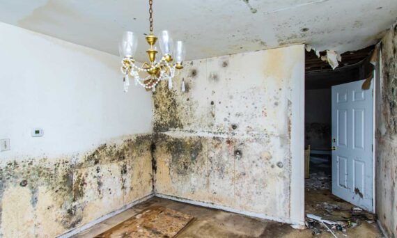 water damage